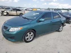 2010 Toyota Corolla Base en venta en Houston, TX