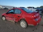 2003 Dodge Neon SE