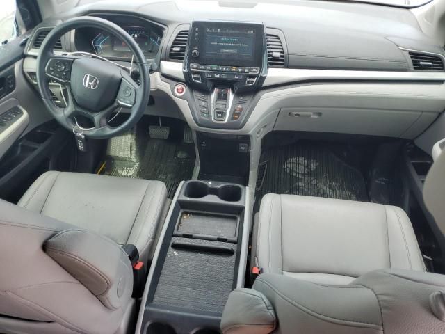 2023 Honda Odyssey EXL