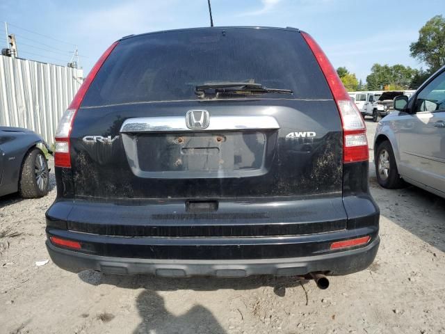 2010 Honda CR-V EXL