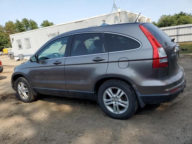 2010 Honda CR-V EXL