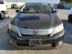 2010 Lexus HS 250H