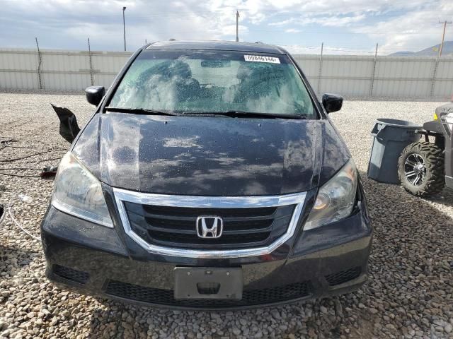 2010 Honda Odyssey EXL