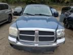 2005 Dodge Dakota SLT