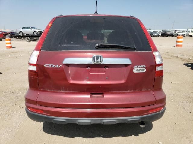 2010 Honda CR-V EX