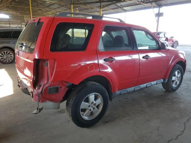 2009 Ford Escape XLT