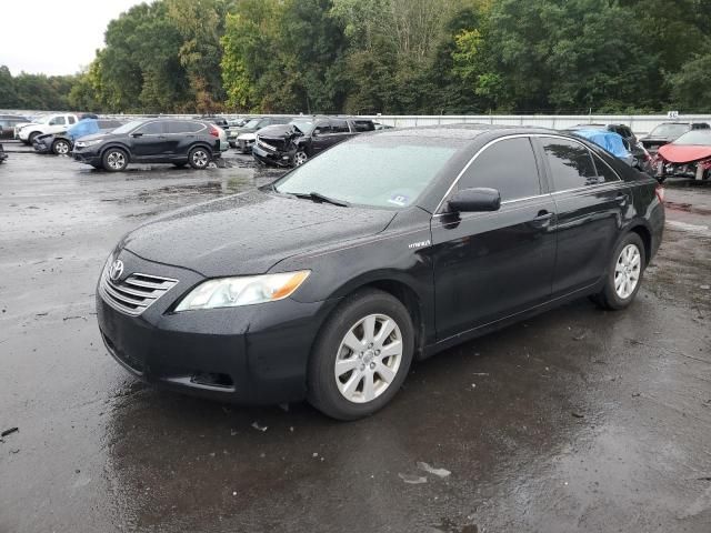 2009 Toyota Camry Hybrid