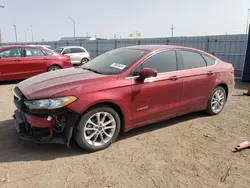 Ford salvage cars for sale: 2019 Ford Fusion SE