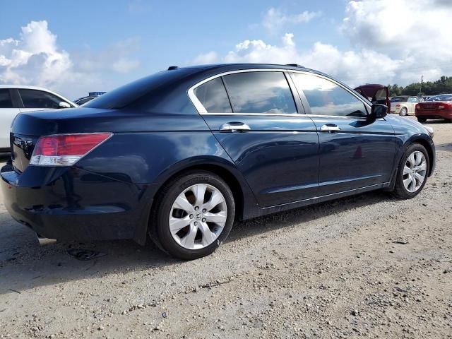 2010 Honda Accord EXL