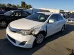 2013 Toyota Camry Hybrid