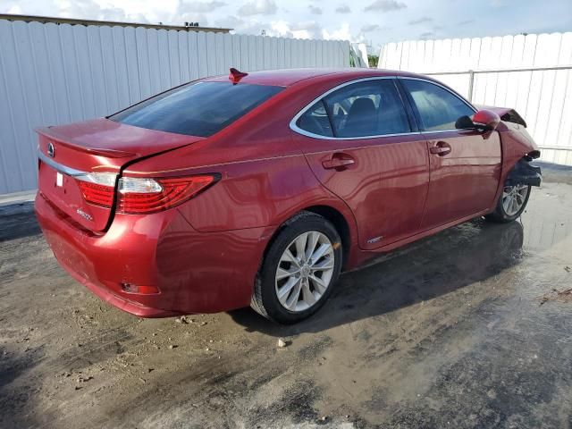 2013 Lexus ES 300H