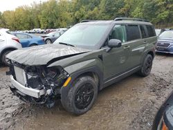 2024 Hyundai Santa FE XRT en venta en Marlboro, NY