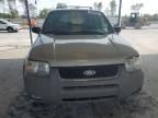 2001 Ford Escape XLT