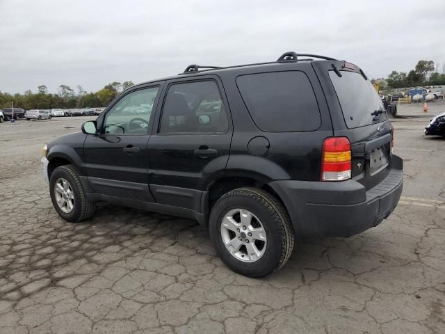 2005 Ford Escape XLT