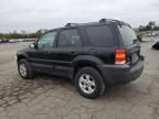 2005 Ford Escape XLT