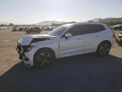 Salvage cars for sale at Las Vegas, NV auction: 2021 Volvo XC60 T5 Momentum