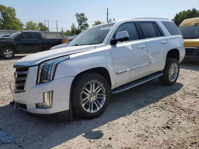 2019 Cadillac Escalade