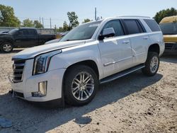 Salvage cars for sale at Lansing, MI auction: 2019 Cadillac Escalade