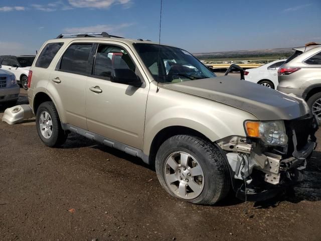 2012 Ford Escape Limited