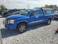 Salvage cars for sale at Barberton, OH auction: 2007 Dodge Dakota SLT