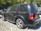 2013 Honda Pilot EXL