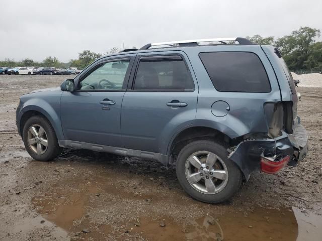 2010 Ford Escape Limited