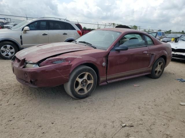 2004 Ford Mustang