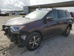 Toyota salvage cars for sale: 2016 Toyota Rav4 XLE