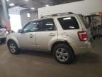 2010 Ford Escape Limited