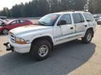 1999 Dodge Durango