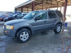 Salvage cars for sale at Riverview, FL auction: 2004 Ford Escape XLT