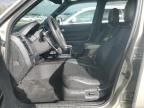 2010 Ford Escape Limited