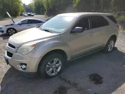 Chevrolet salvage cars for sale: 2010 Chevrolet Equinox LS