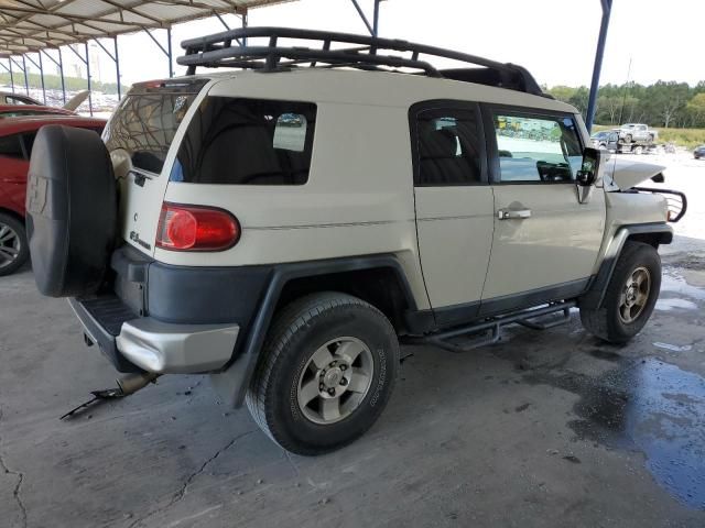 2010 Toyota FJ Cruiser