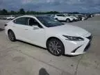 2020 Lexus ES 350