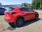 2024 Lexus NX 350H Base