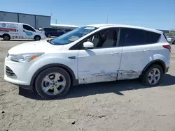 Salvage cars for sale at Las Vegas, NV auction: 2014 Ford Escape SE