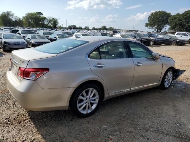 2010 Lexus ES 350