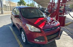 Carros con verificación Run & Drive a la venta en subasta: 2014 Ford Escape SE