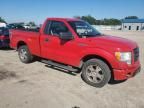 2009 Ford F150