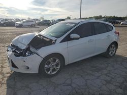 Salvage cars for sale at Indianapolis, IN auction: 2014 Ford Focus SE