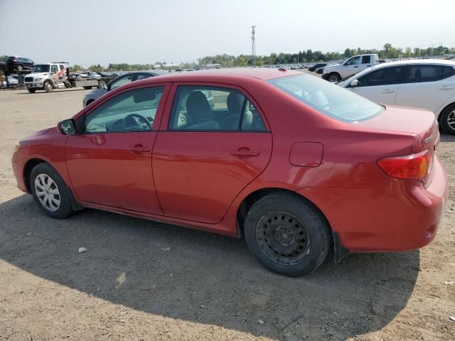 2009 Toyota Corolla Base