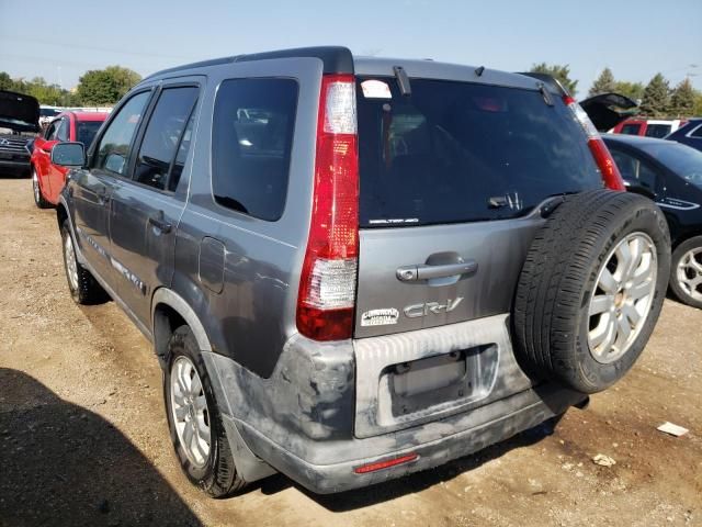 2006 Honda CR-V EX