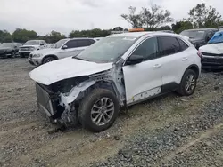 Ford salvage cars for sale: 2022 Ford Escape SE