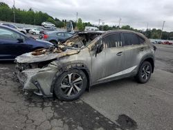 Lexus Vehiculos salvage en venta: 2020 Lexus NX 300H Luxury