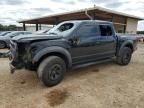 2018 Ford F150 Raptor