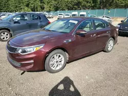 Vehiculos salvage en venta de Copart Graham, WA: 2016 KIA Optima LX