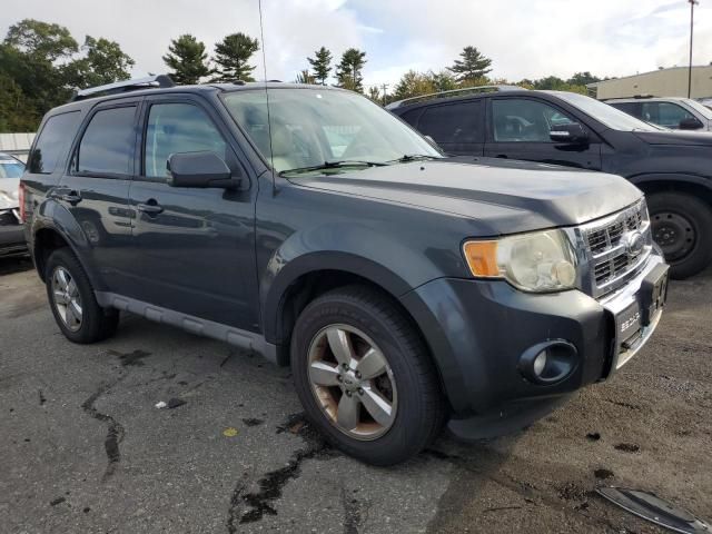 2009 Ford Escape Limited