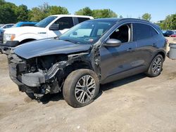 Ford salvage cars for sale: 2021 Ford Escape SEL