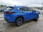 2022 Lexus NX 250